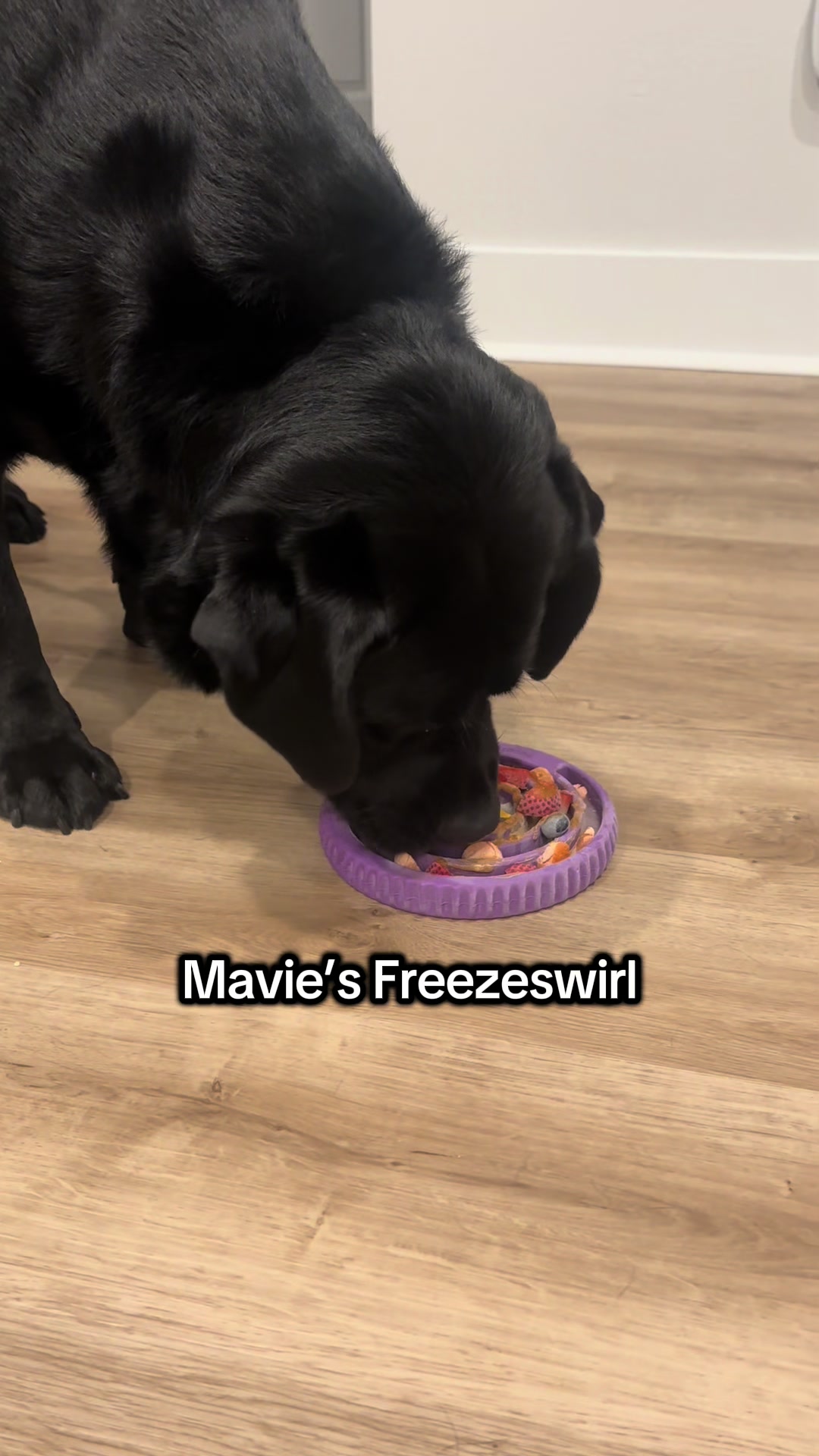 TikTok post by @mikaylaporcaro for Freezbone. Caption reads: [...] for TOUGH Chewers!! Cannot recommend....