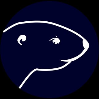 Otter Spirit