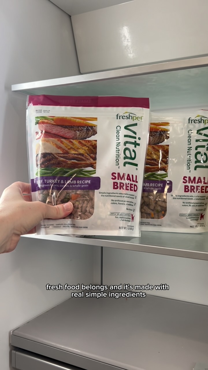 Instagram post by @sweeneythefrenchie for Freshpet. Caption reads: Thanks to Freshpet’s Vital Small Breed Beef,....