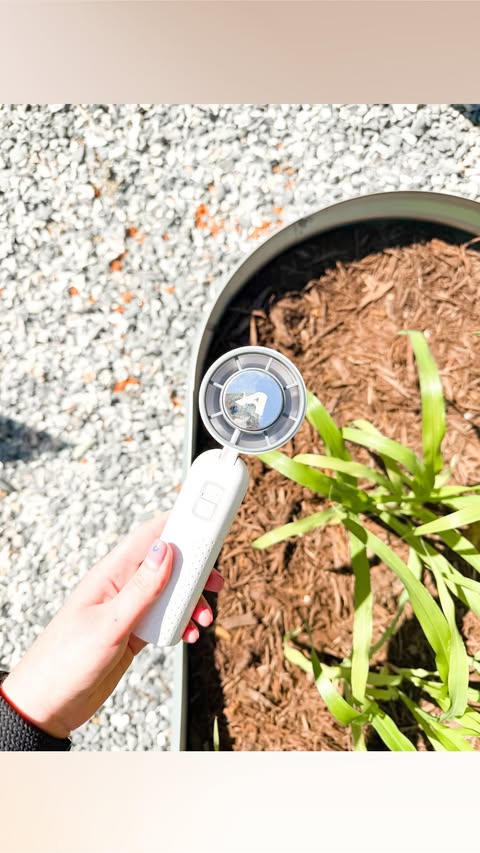 Instagram post by @courtney_sherrill_ for Ontel Products. Caption reads: #ad The boys and I have been busy planting the....