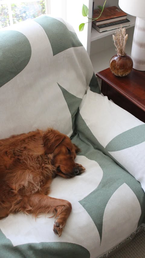 Instagram post by @thegoldentillybean for Nolan Interior. Caption reads: [...] #goldenretriever #dogmom #newhome....