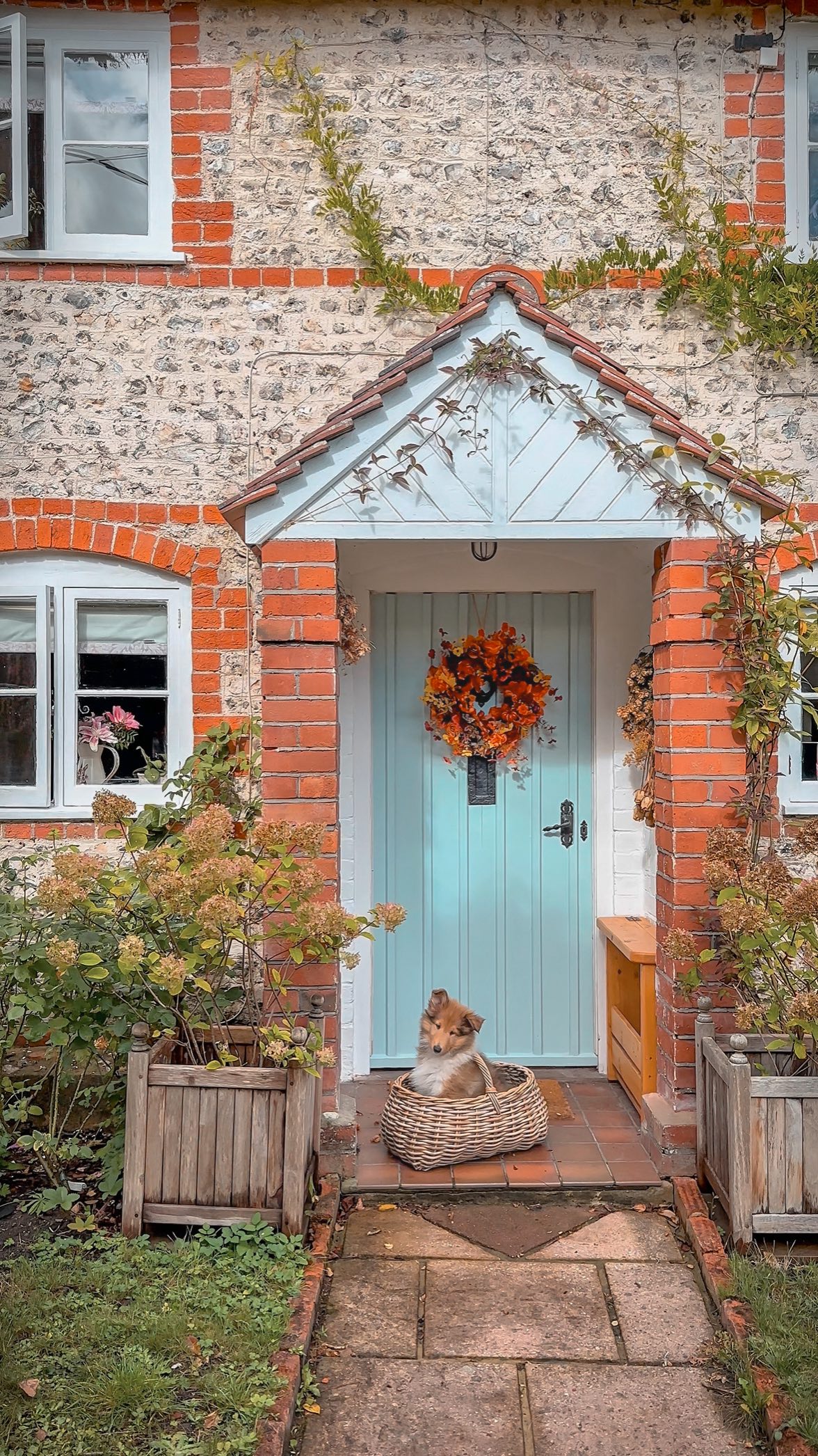 Instagram post by @hercountryliving for Arden Grange. Caption reads: ad, Breakfast time at the cottage 🌿🐾

We’ve been....