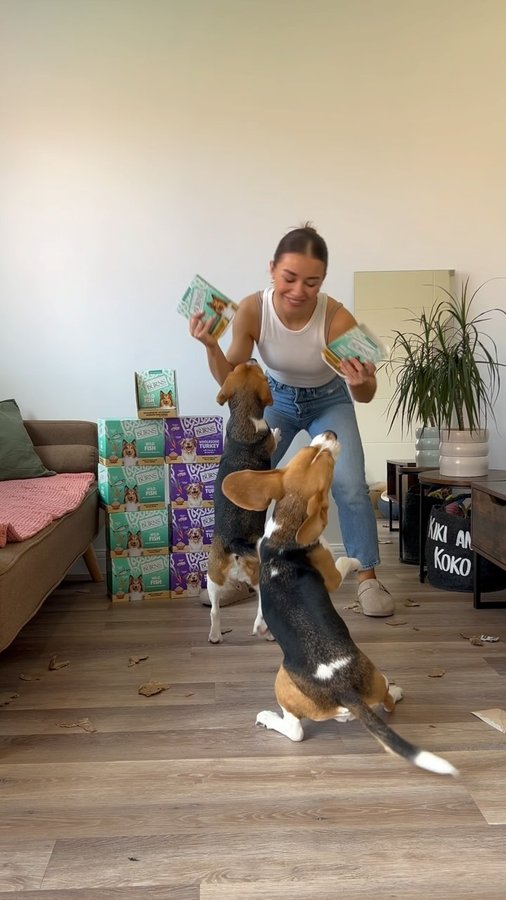 Instagram post by @beagleskiko for Burns Pet Food. Caption reads: Nothing makes the girls happier than @burnspet....