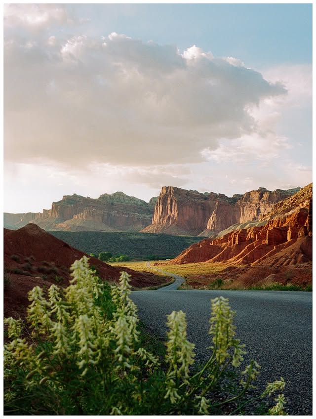 Instagram post by @portra_papi for Kodak. Caption reads: [...] time to visit the high desert.....