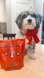 Instagram post by @shayleethepup for Natural Dog Company. Caption reads: imagine if getting our nutrients was this easy....