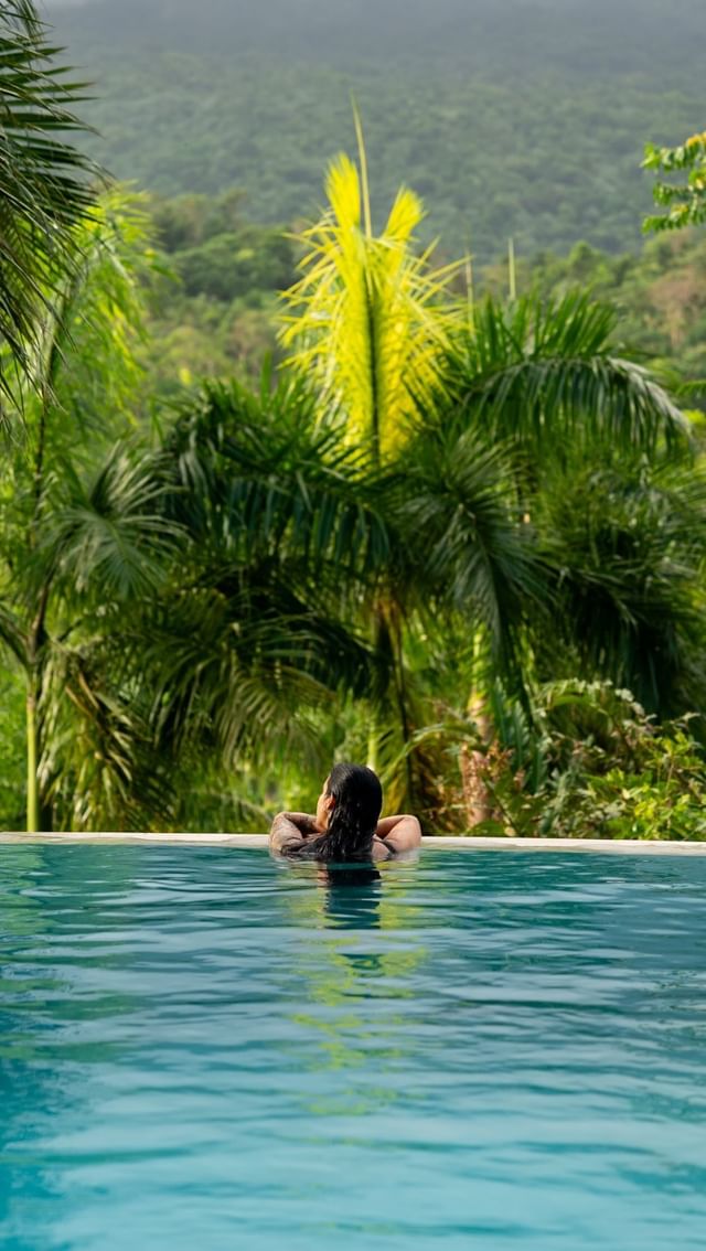 Instagram post by @foxandpines for Discover Puerto Rico. Caption reads: 📍Yuquiyú Treehouses, Puerto Rico
 
A bucket list....
