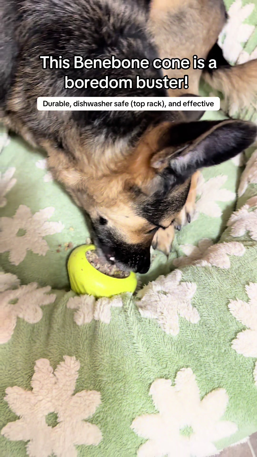 TikTok post by @fluff_force for Benebone. Caption reads: [...] play outside. I am so thankful for the....