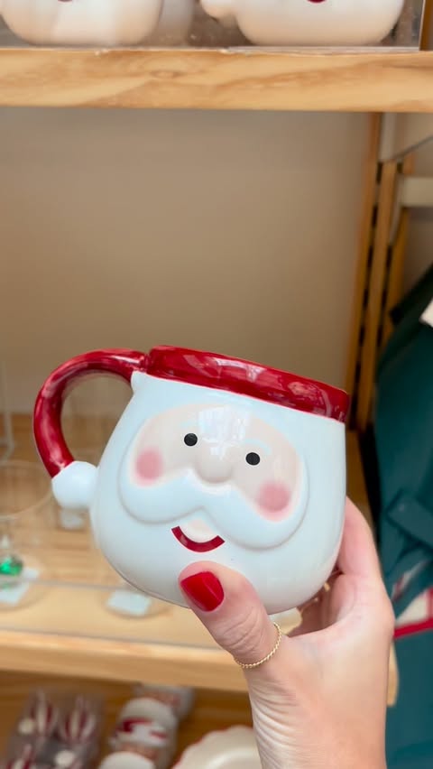 Instagram post by @paulaputz for Riachuelo. Caption reads: O bichinho do Natal picou vcs tbm? 🎅🏻🎄✨.