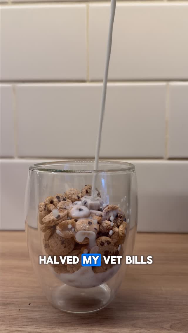 Instagram post by @beth.pabs.frank for Marleybones. Caption reads: ✨ How I halved my vet bills just by changing....