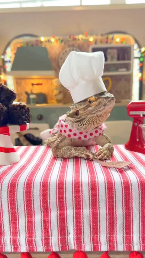 Instagram post by @whosagoodlizard for King Arthur Baking Company. Caption reads: Winny isn’t an experienced baker, but with....