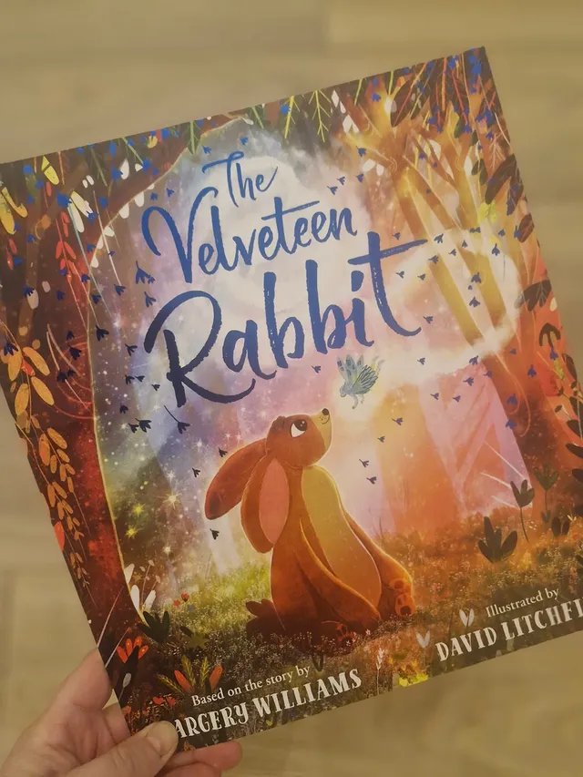 Instagram post by @david_c_litchfield for Scholastic. Caption reads: [...] at the most gorgeous new book from....