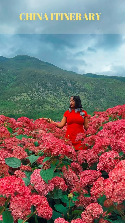 Instagram post by @with.love.brina for Expedia. Caption reads: [...] Zoo Panda House ✨ Pro tip: I used @expedia....