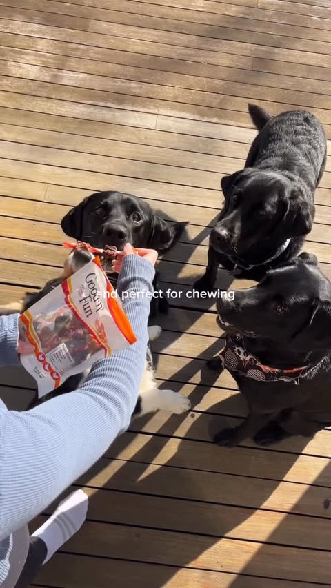 Instagram post by @jgendron5 for Good 'n' Fun. Caption reads: [...] a pup-approved barkuterie board with....
