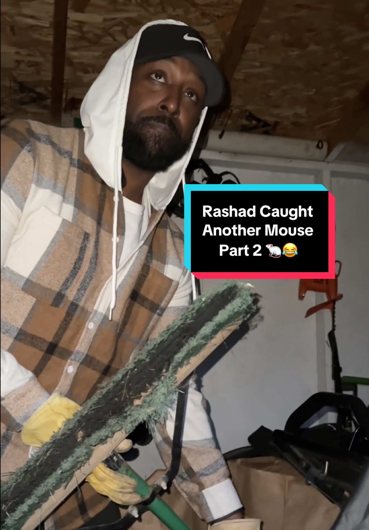 TikTok post by @caseyandrashad for Progressive. Caption reads: [...] #mouse #crashout #lawntok @HGTV @Nike....