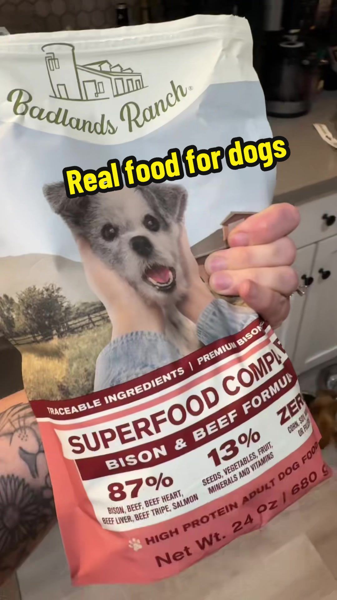 TikTok post by @nextstopaffiliate for Badlands Ranch. Caption reads: [...] #doglover #dogdiet #pets #dogs....