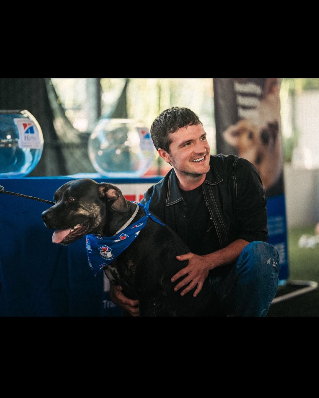 Instagram post by @jhutch1992 for Hills Pet. Caption reads: #ad #HillsPartner @HillsPet @pasadenahumane Just....