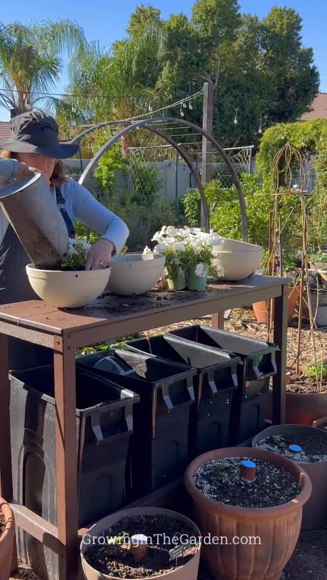Instagram post by @growing.in.the.garden for Duluth Trading Company. Caption reads: Cool-season gardening in containers in the low....