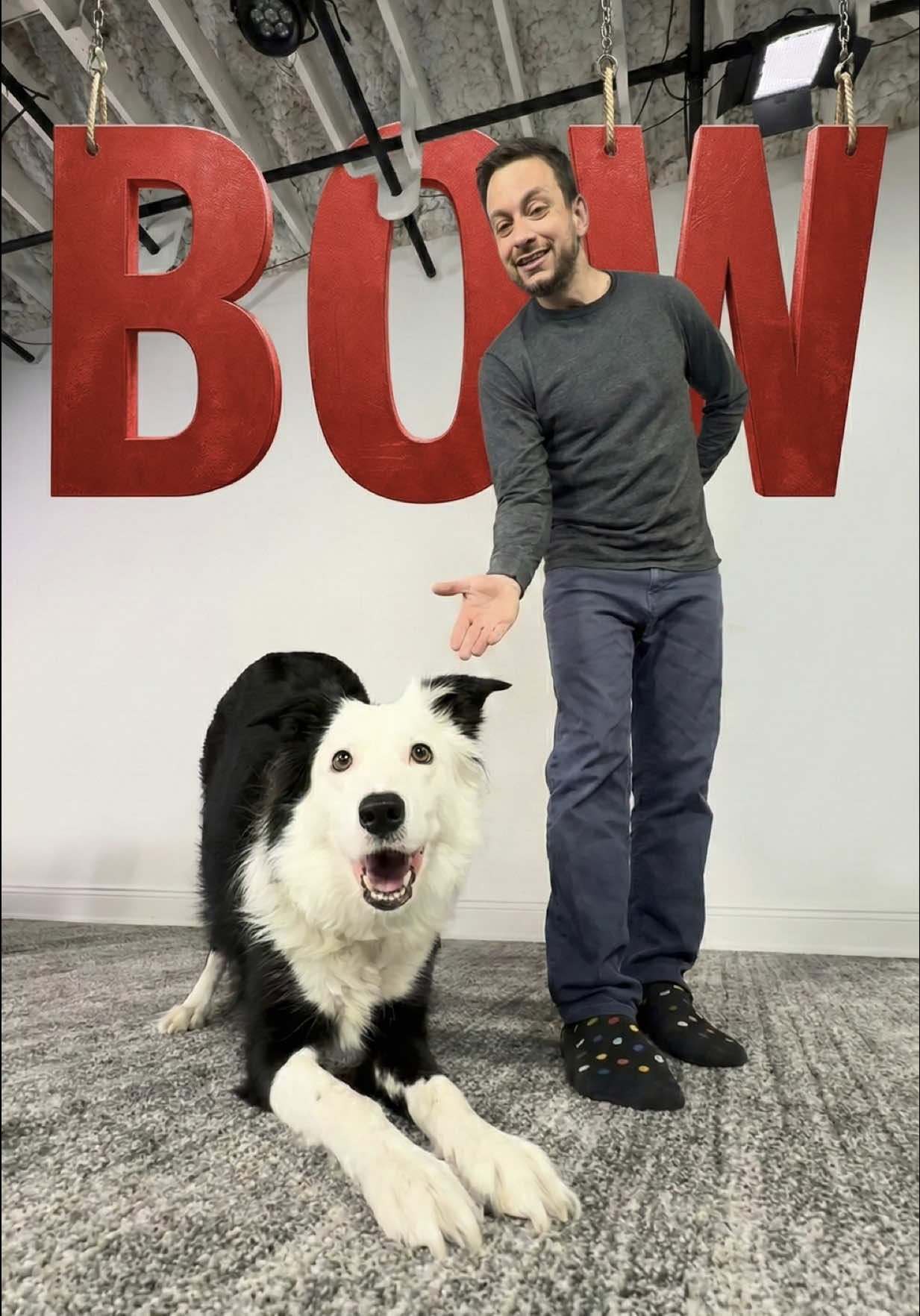 TikTok post by @thezakgeorge for Pupford. Caption reads: [...] #forcefree #painfree #dogtrainer @Pupford.