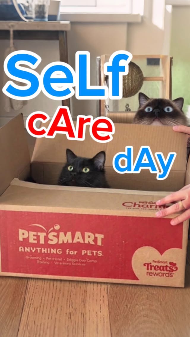 Instagram post by @mervthepet for PetSmart. Caption reads: [...] DID MERV CHOOSE HERSELF OR HAM? @petsmart -....