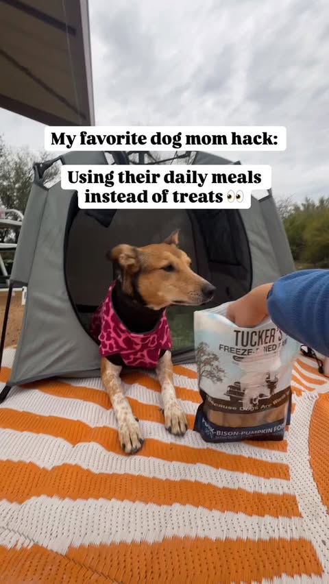 Instagram post by an influencer for Tucker's Raw. Caption reads: [...] at @lonestarpettreats 🌵 #tuckersraw #gifted....