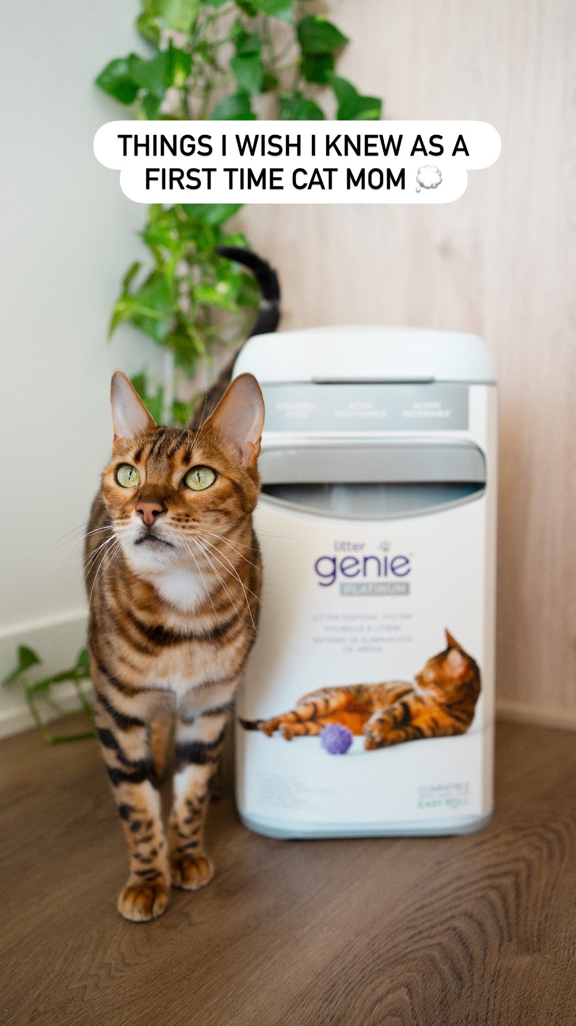 Instagram post by @firstclassbengals for Litter Genie. Caption reads: [...] Routine 🐾

1️⃣ Swap plastic for the....