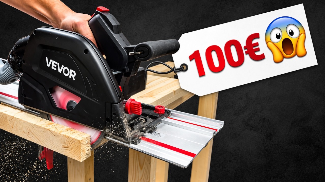 YouTube post by @david_koehler for Pixabay. Caption reads: How can they sell THIS for $100?? 😲.