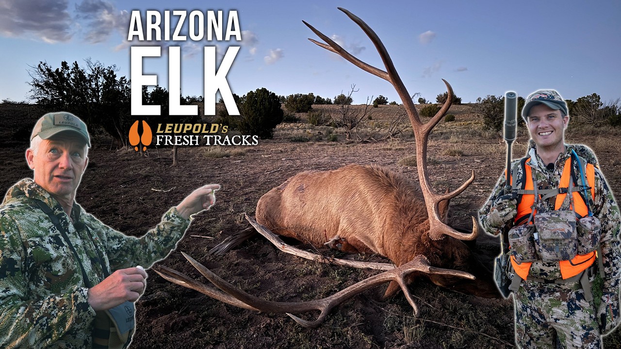 YouTube post by @Fresh_Tracks for Ollin. Caption reads: Persistence Pays Off! | BIG Arizona Bull!.
