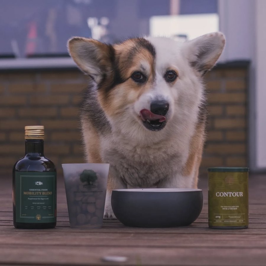 Instagram post by @corgicrewadventures for ESSENTIAL FOODS. Caption reads: When you need to control the weight, you need a....