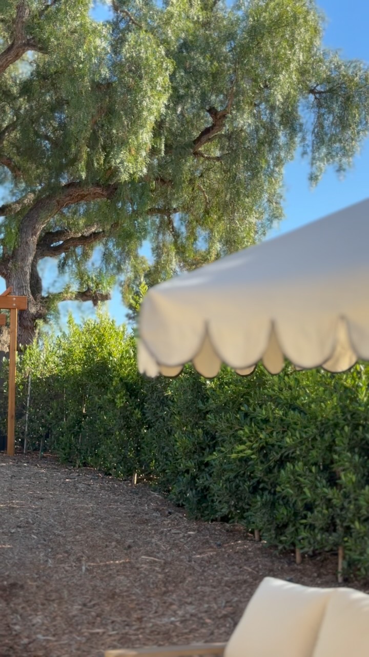 Instagram post by @sarahellenrandall for Enbrighten. Caption reads: these have filled in SO nicely! And our....