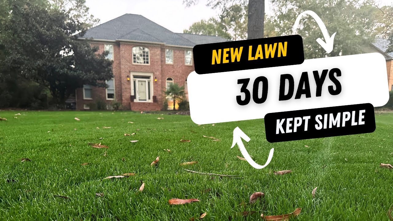 YouTube post by @TurfTherapy for Simple Lawn Solutions. Caption reads: Perennial Rye in South Carolina.