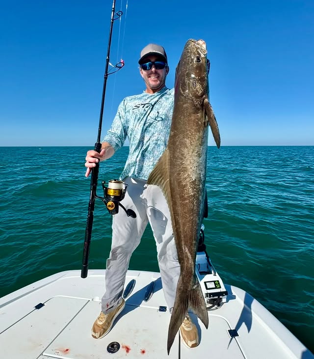 Instagram post by @rhodanmarine for Mustad Fishing. Caption reads: Cobia on the Mustad jig head with a live pinfish....