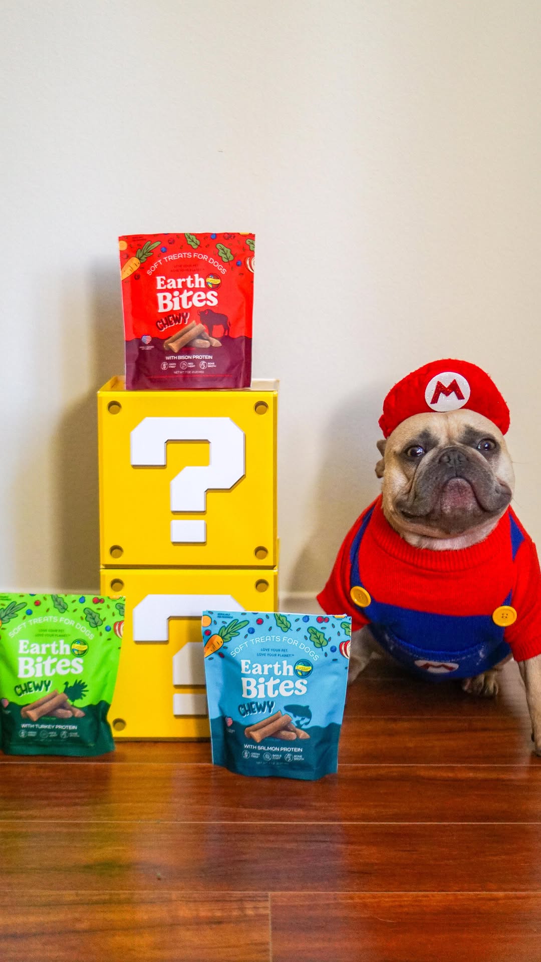 Instagram post by @thesweetlifeofmochi for Earthborn Holistic Pet Food. Caption reads: No tricks, only treats! 🌟🍄🌷

#ad....