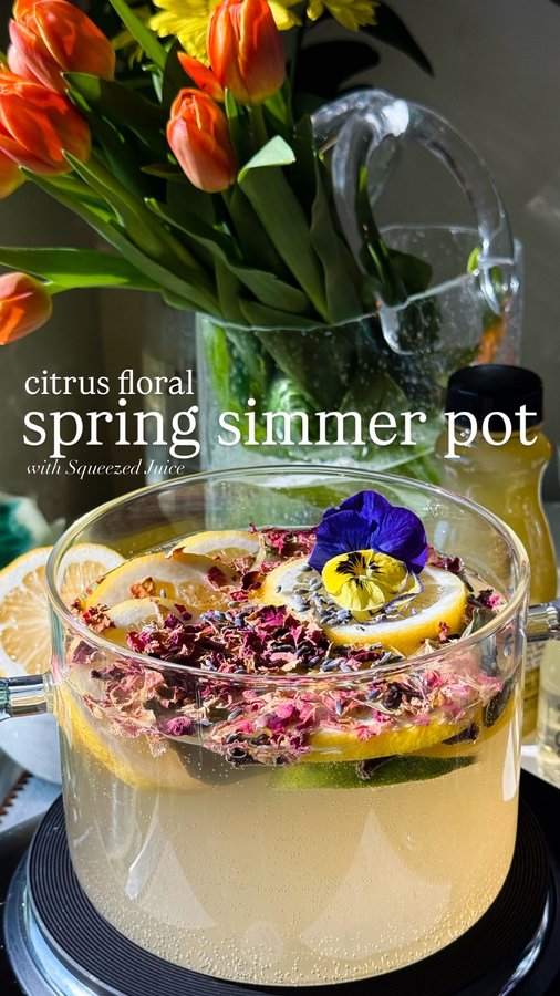 Instagram post by @onthemocks for The Squeezed Juice. Caption reads: [...] “simmer pots.” 😳 This colorful....