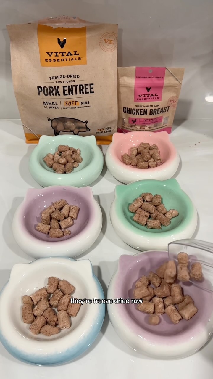 Instagram post by @penguinpepperpia for Amazon Pets. Caption reads: AD| What my cats eat in a day—featuring their new....