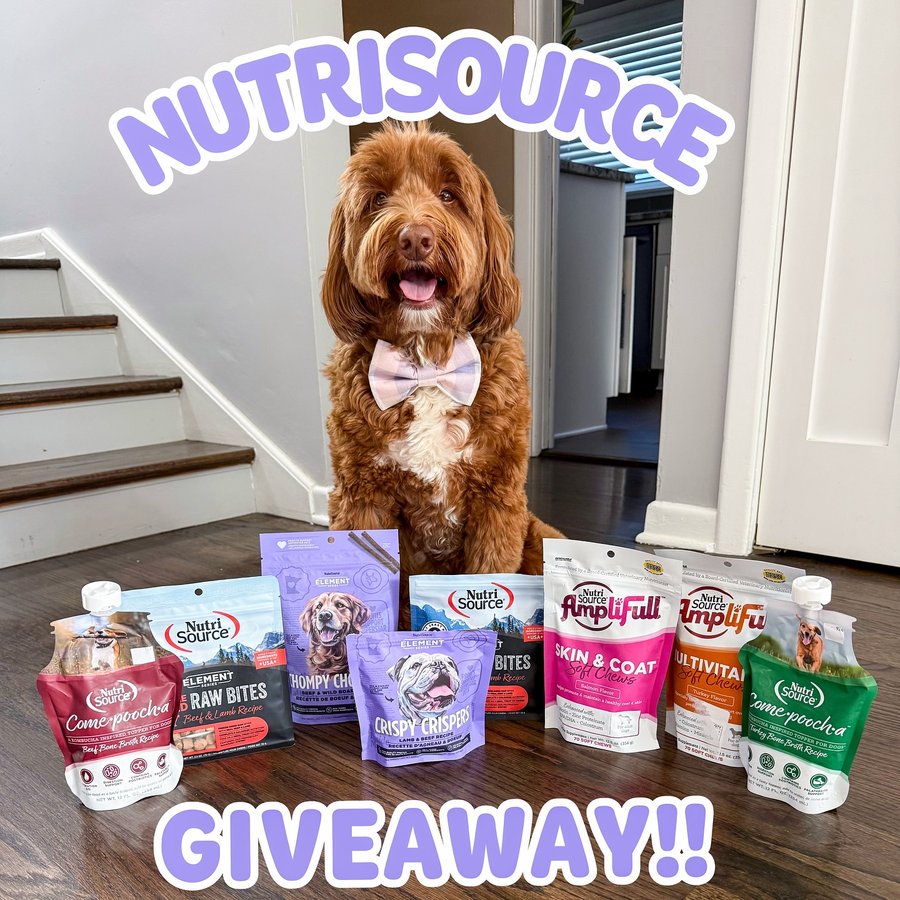 Instagram post by @theo_dorabledoodle for NutriSource Pet Foods. Caption reads: [...] pup is getting spoiled with a....