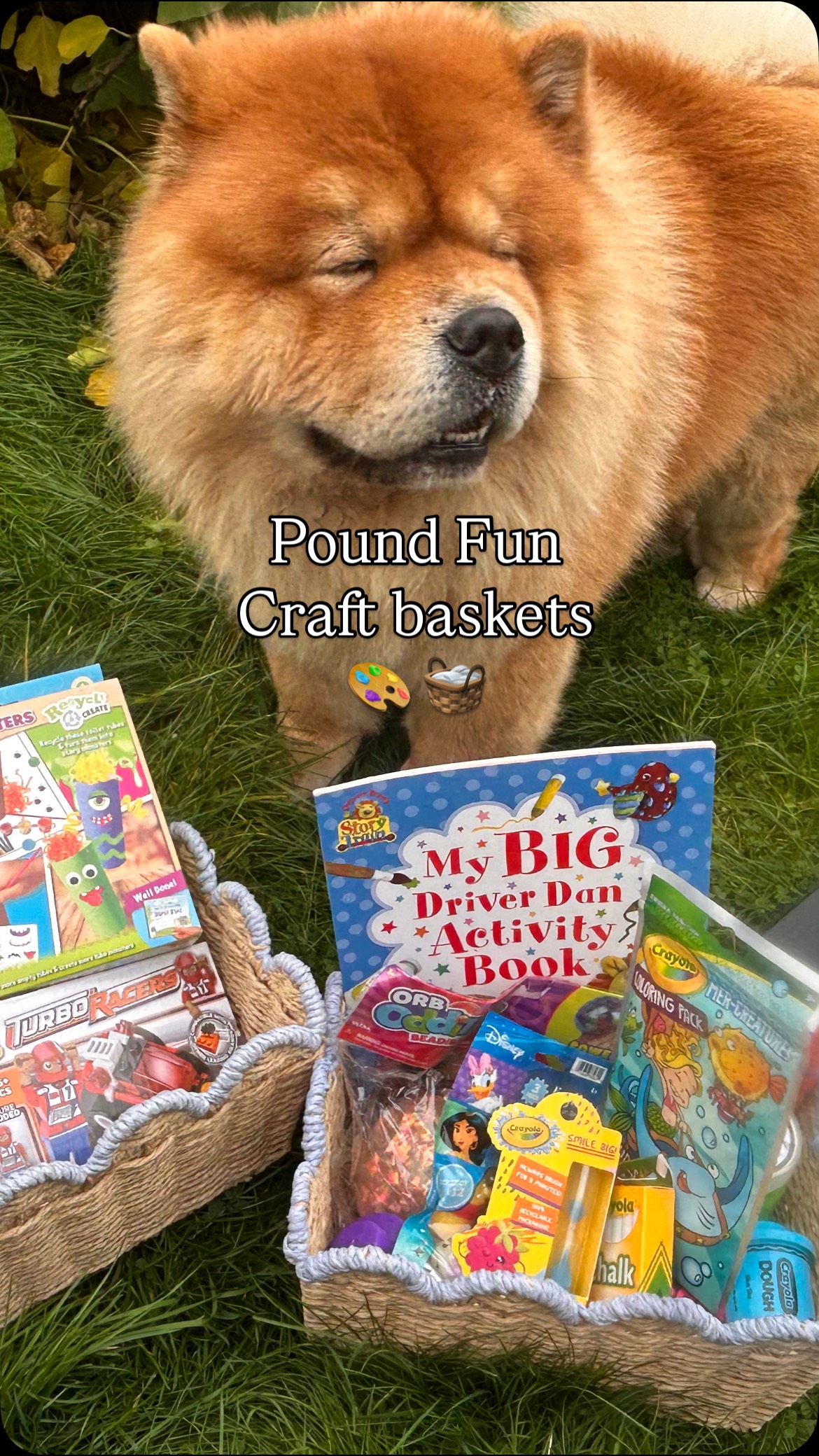 Instagram post by @homewiththebboys for PoundFun. Caption reads: [...] craft and bits & bobs baskets from....