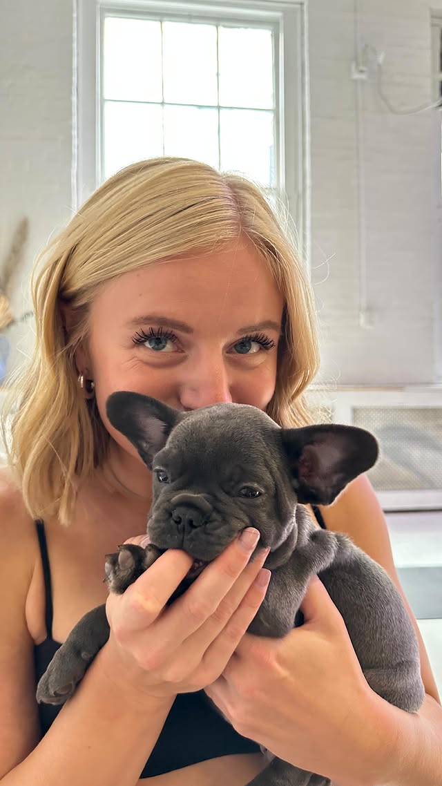 Instagram post by @malenehold for Puppysphere. Caption reads: #ad Instant happiness at @thepuppysphere 🥰.