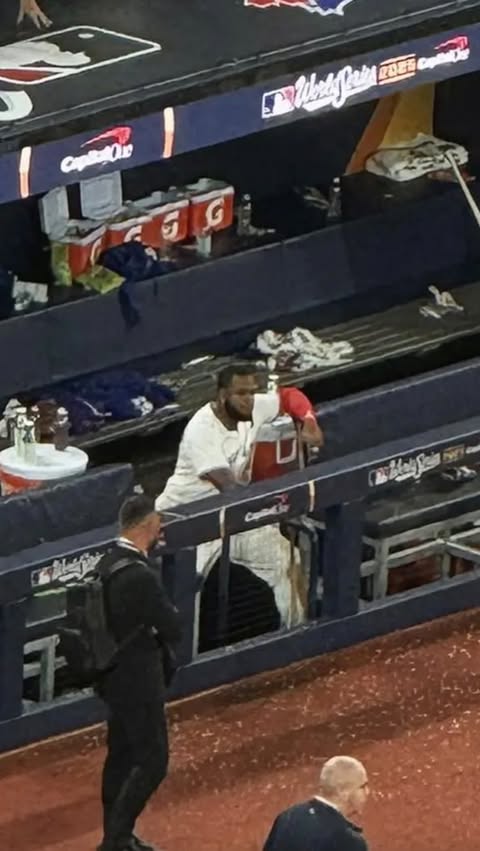 Instagram post by @luubreeze for Rogers. Caption reads: [...] & Beyond Grateful.
Thank You @bluejays....