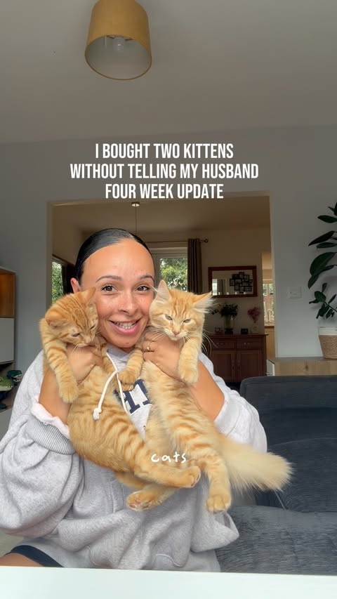 Instagram post by @aaliyahdaniels_ for KatKin. Caption reads: [...] diet. 🐱😂 We’ve been feeding them....