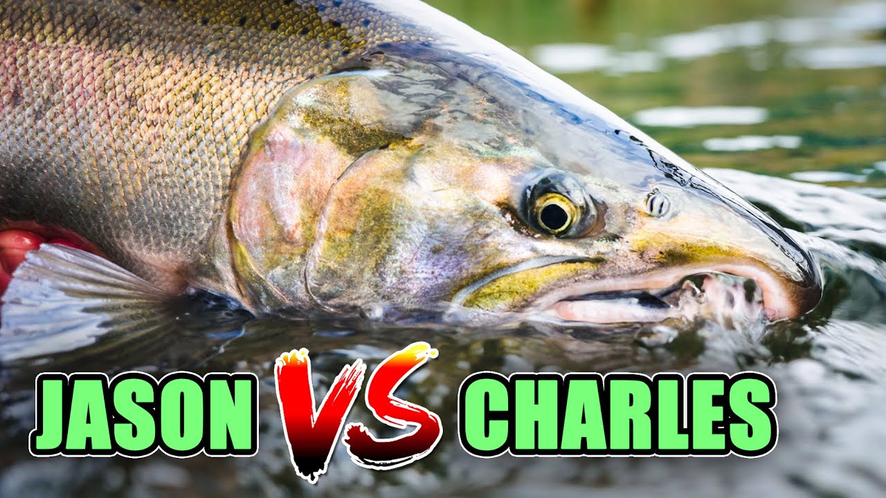 YouTube post by @AddictedFishing for Mustad Fishing. Caption reads: Tributary Coho Fishing Challenge - Nobody Saw This....
