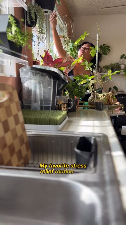 Instagram post by @plants_itsavibe for Miracle-Gro. Caption reads: [...] of the routine too. That’s why I use....