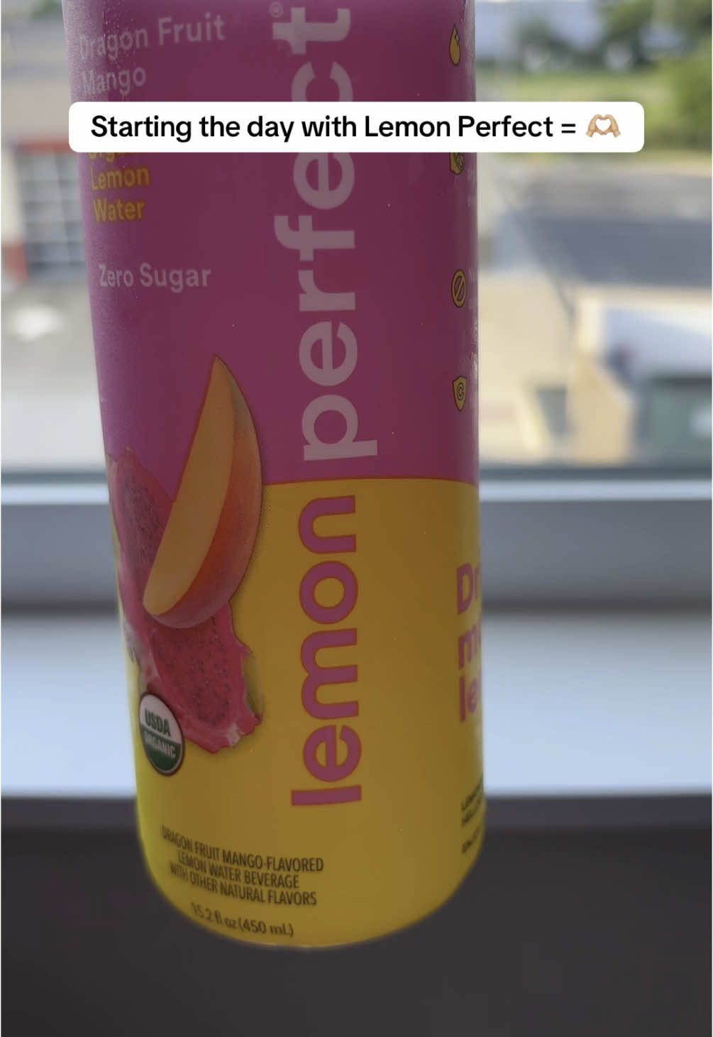 TikTok post by @vsternau for Lemon Perfect. Caption reads: Good morning! 🫶🏼☀️ #lemonperfectmoment #boymom....