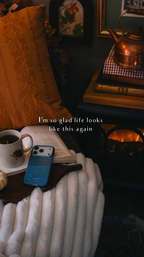 Instagram post by @cosyacademia for PITAKA. Caption reads: you + me + spending cozy days in my book nook?....