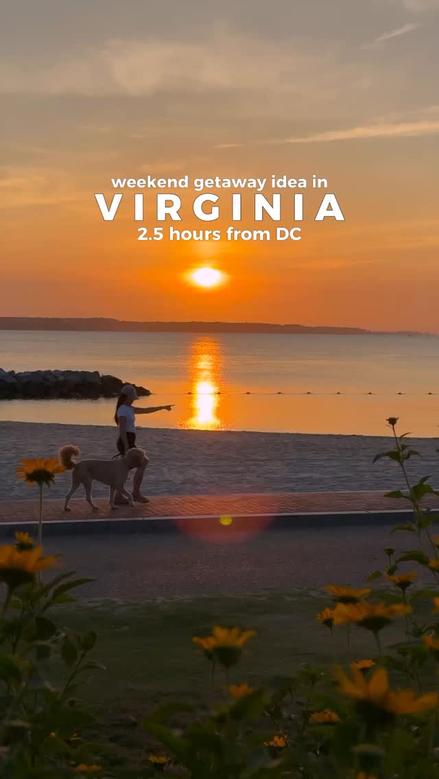 Instagram post by @withsunshinesol for Visit Williamsburg. Caption reads: Just 2.5 hours from Washington DC, this weekend....