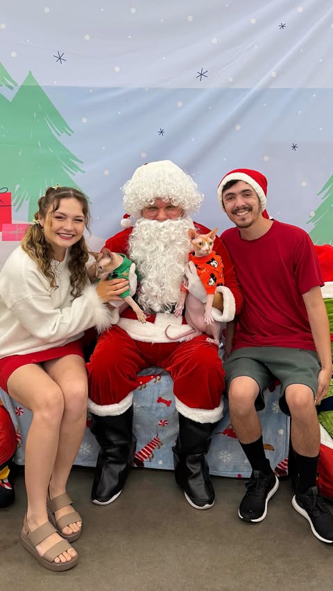 Instagram post by @pincessshannon for Petco. Caption reads: SIDE QUEST…for free pet Santa photos with my....