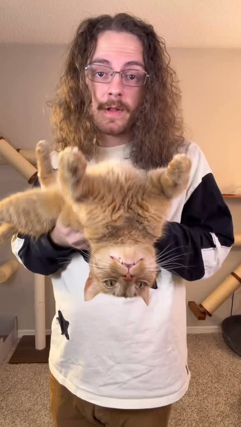 Instagram post by @renusdelph for Hholove. Caption reads: Trying out the new #ositter from @hholove_global....