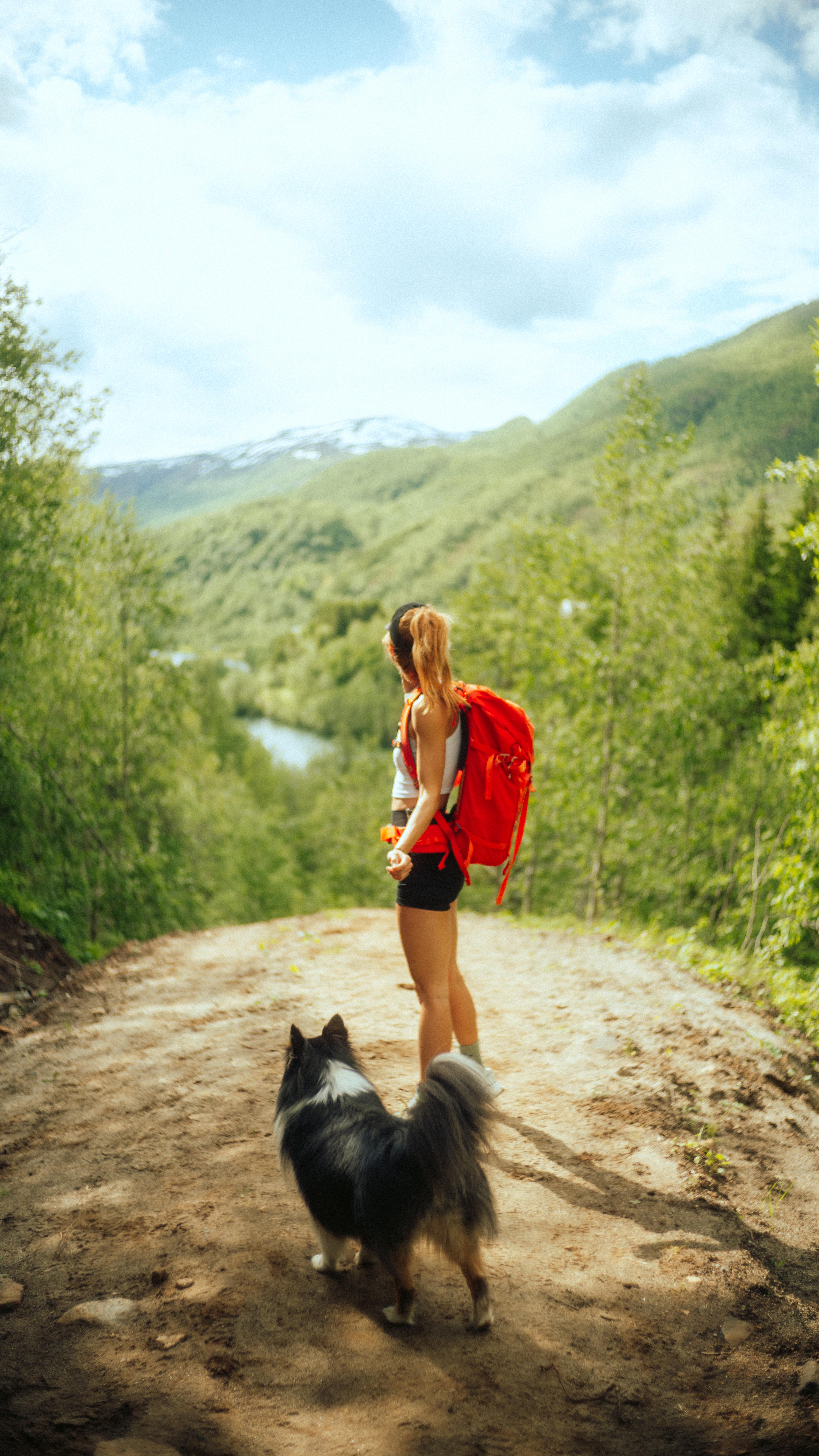 Instagram post by @petra_tyl for Tractive. Caption reads: 🎒🐾 Ať už vyrážíme na výlet, dovolenou nebo jen....