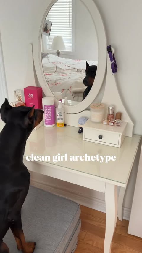 Instagram post by @ares.thedoberman for Skout's Honor. Caption reads: Elevate your clean girl routine with @skoutshonor....