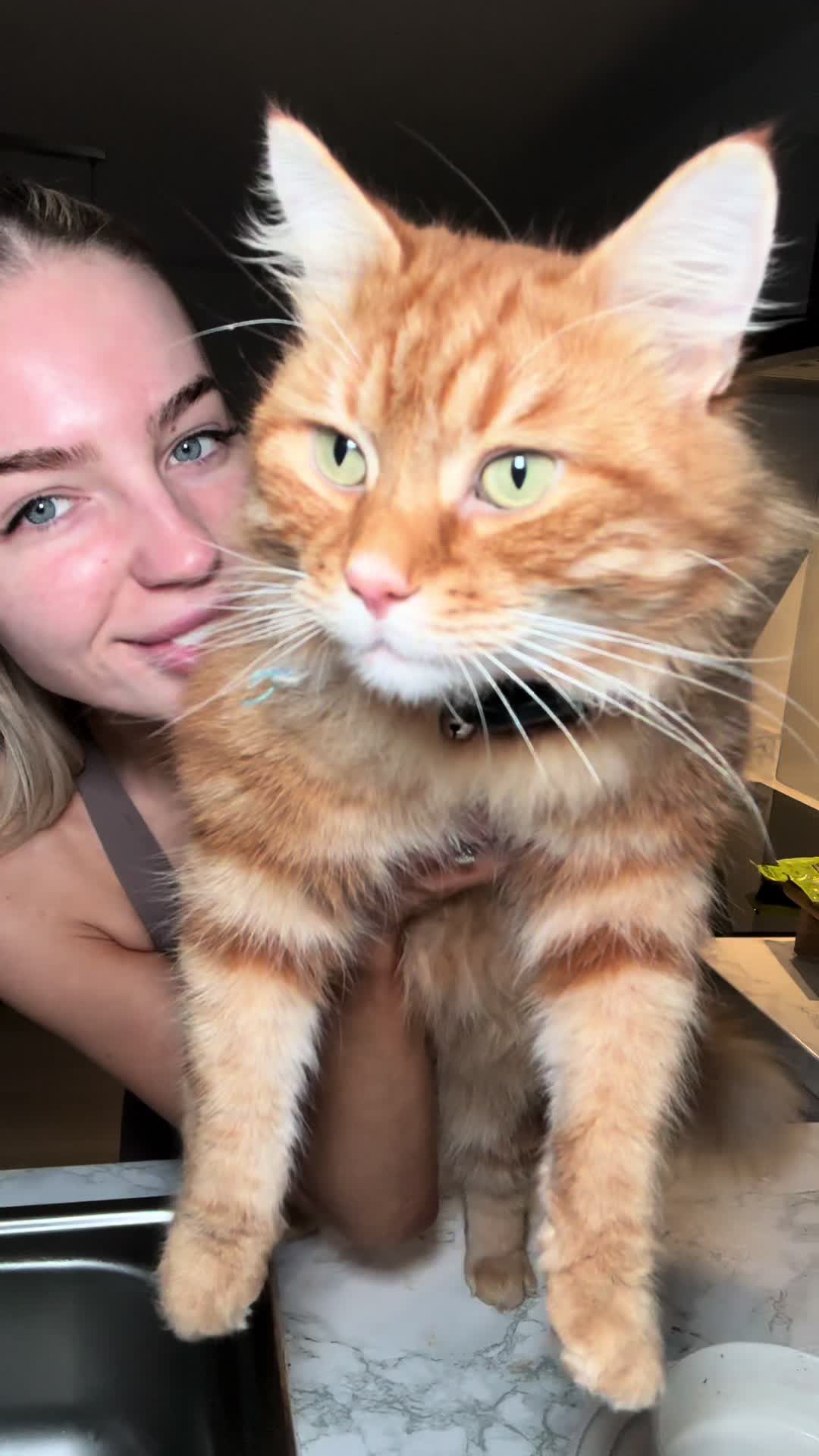 TikTok post by @teags86 for KatKin. Caption reads: You all know we are @KatKin.Club lovers😻 Use....