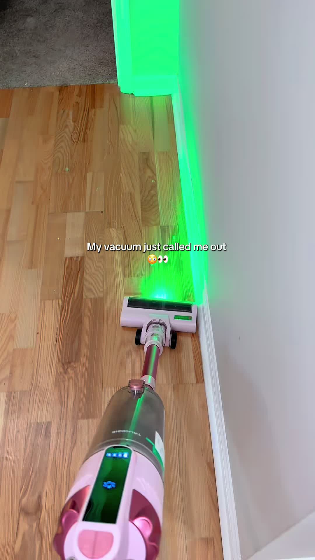 TikTok post by @emilyisaacs16 for Homeika. Caption reads: [...] feelings but leave your house spotless....